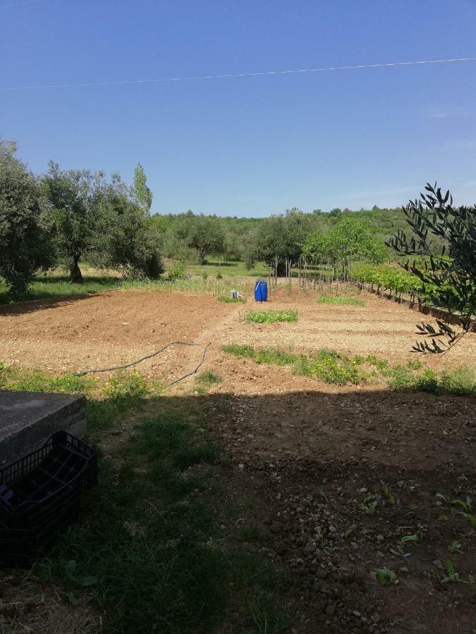 Apartmani Sladic Skradin Buitenkant foto